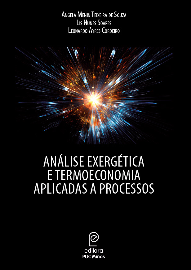 Análise exergética e termoeconomia aplicadas a processos